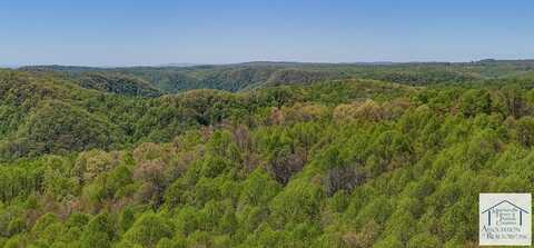 0 Bent School Rd, Meadows of Dan, VA 24120