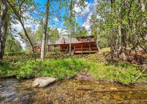 91 Riverview Drive, ROBBINSVILLE, NC 28771