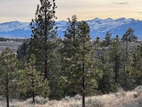 729 & 711 Rabbit Run, Stevensville, MT 59870