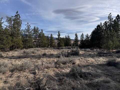 711 Rabbit Run, Stevensville, MT 59870
