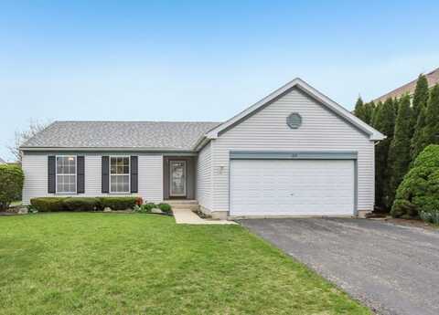619 Summerlyn Drive, Antioch, IL 60002