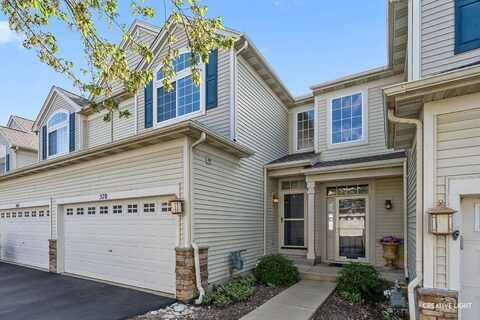 570 Telluride Drive, Gilberts, IL 60136