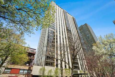 100 E Bellevue Place, Chicago, IL 60611
