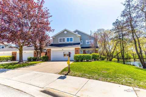 99 Caribou Crossing, Northbrook, IL 60062