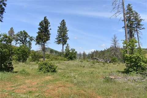 0 Stone Mountain Road, Oroville, CA 95965