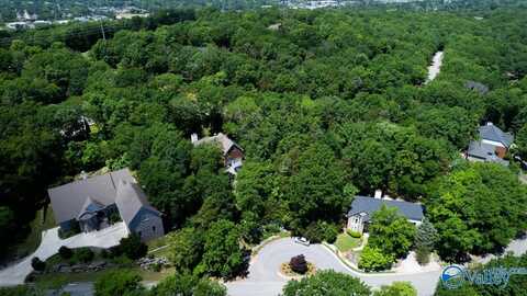 10132 Skylark Drive, Huntsville, AL 35803