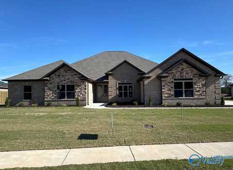 13888 Mallard Drive, Madison, AL 35756