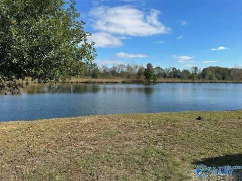 615 County Road 487, Moulton, AL 35650