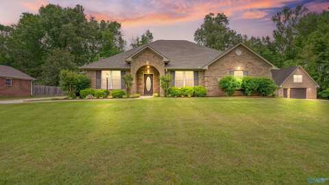 16562 Mulberry Lane, Athens, AL 35613