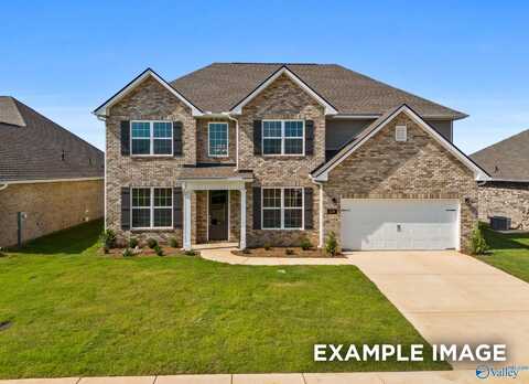 111 Lucy Lynn Boulevard, Meridianville, AL 35759