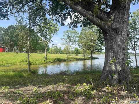 Lot 7 County Road 115, Cedar Bluff, AL 35959