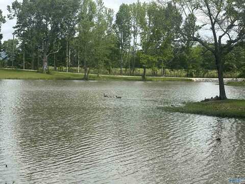 Lot 6 County Road 115, Cedar Bluff, AL 35959