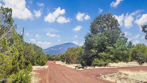 1385 E Birchwood Drive, Williams, AZ 86046