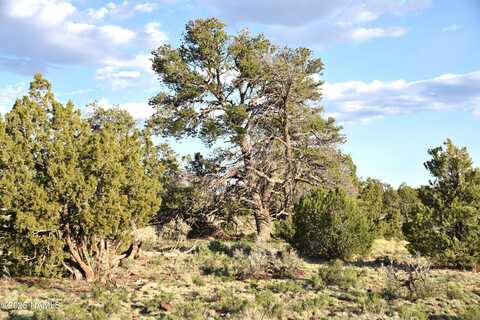 3391 E Indian Meadows Road, Williams, AZ 86046