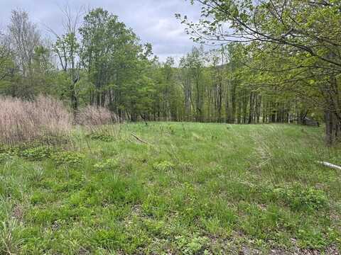 174 Burnett Lane, Gillett, PA 16925