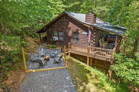57 Coffee Pot Drive, Blue Ridge, GA 30513