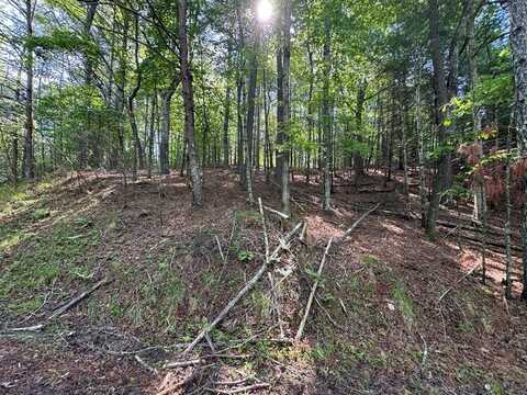 1336 Lyric Lane, Ellijay, GA 30540