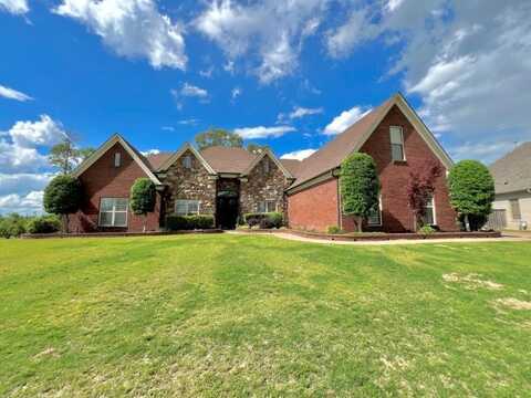 8104 Bella Donna, Olive Branch, MS 38654