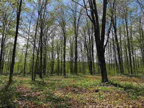 5727 Shady, Harbor Springs, MI 49740