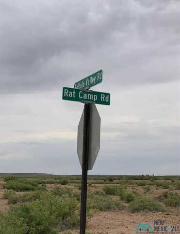 1384 Rat Camp Road, Lake Arthur, NM 88253