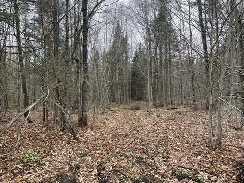 2319 East Hill Road, Woodbury, VT 05681