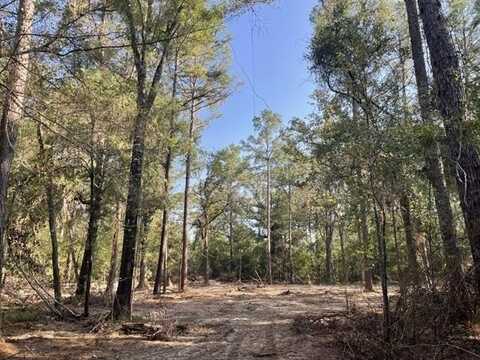LAURIE Drive, Hammond, LA 70403