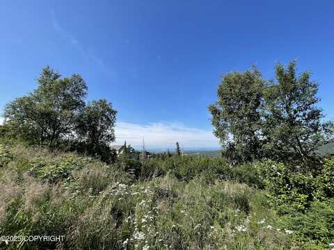 L15a B10h Harwood Circle, Anchorage, AK 99516