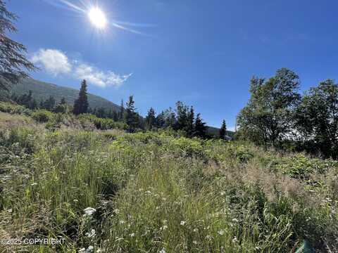 L14a B10h Harwood Circle, Anchorage, AK 99516