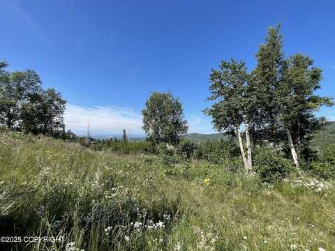 L16a B10h Harwood Circle, Anchorage, AK 99516