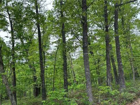 Arabian LN, Rogers, AR 72756