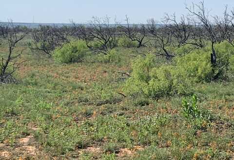 0 CEDAR CREEK Road, Valle de Oro, TX 79010