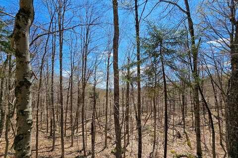 Vacant Lot Palisades Road W, Old Forge, NY 13420