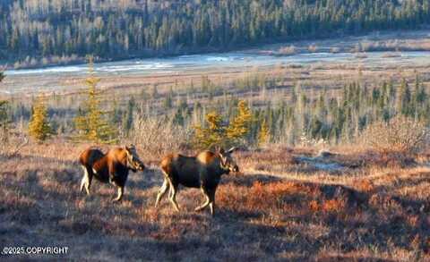 L2 Purinton Creek Trail, Chickaloon, AK 99674