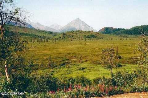L2 Purinton Creek Trail, Chickaloon, AK 99674