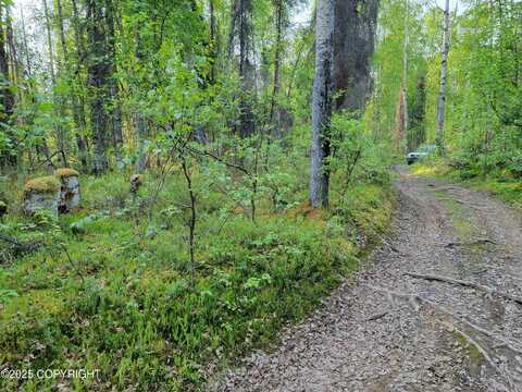 19859 E Caughtabigone Avenue, Willow, AK 99688