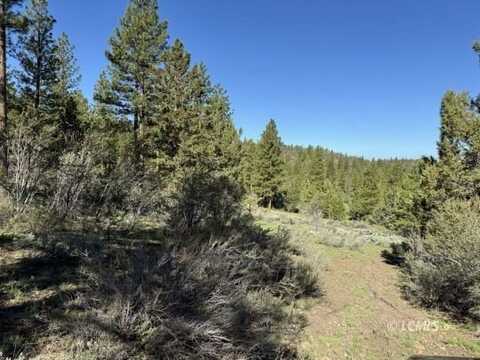 Drews Gap Road, Lakeview, OR 97630