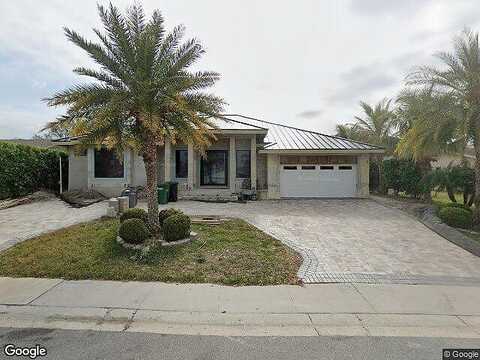 Gull, SAFETY HARBOR, FL 34695