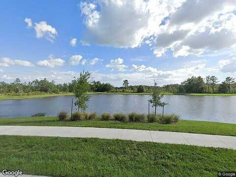Garden Sage, WESLEY CHAPEL, FL 33545
