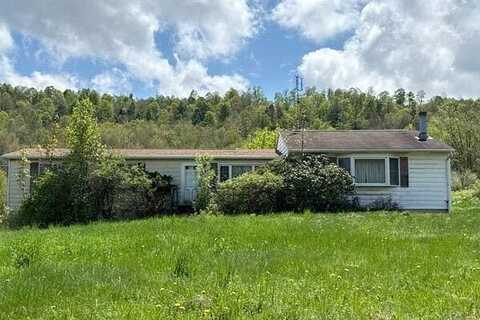 Brady Hill, BINGHAMTON, NY 13903