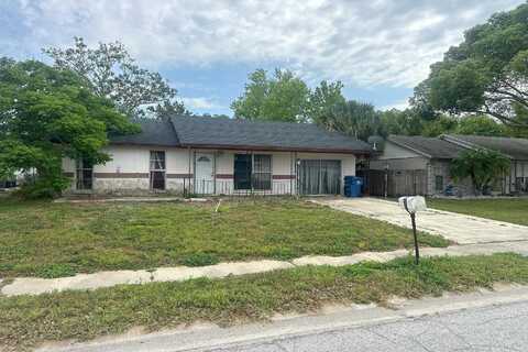 Jenner, NEW PORT RICHEY, FL 34655