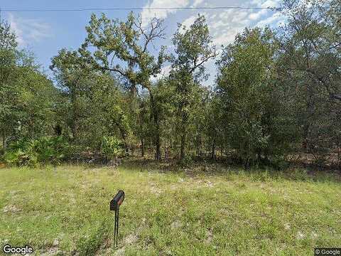 118Th, BRONSON, FL 32621