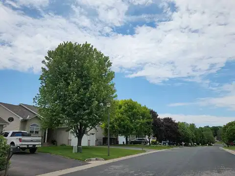 Walnut, BELLE PLAINE, MN 56011