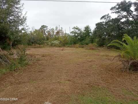 Bayhead, YOUNGSTOWN, FL 32466
