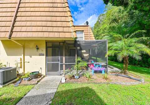 Tall Pine, TAMPA, FL 33625
