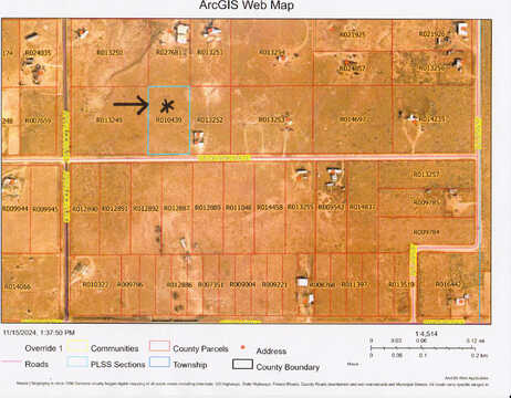 Palomino Avenue, Moriarty, NM 87035