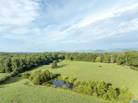 Amicus, STANARDSVILLE, VA 22973