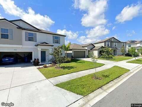 Sun Kettle, WESLEY CHAPEL, FL 33545