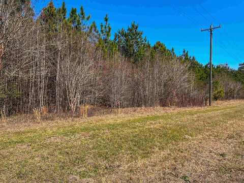 Xox Lot 4 Solomon Dairy Road, Quincy, FL 32351