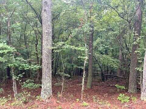 Narroway Church Circle, Dallas, GA 30132