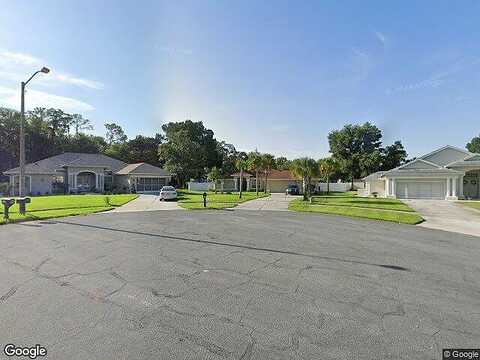 Mango, SPRING HILL, FL 34609